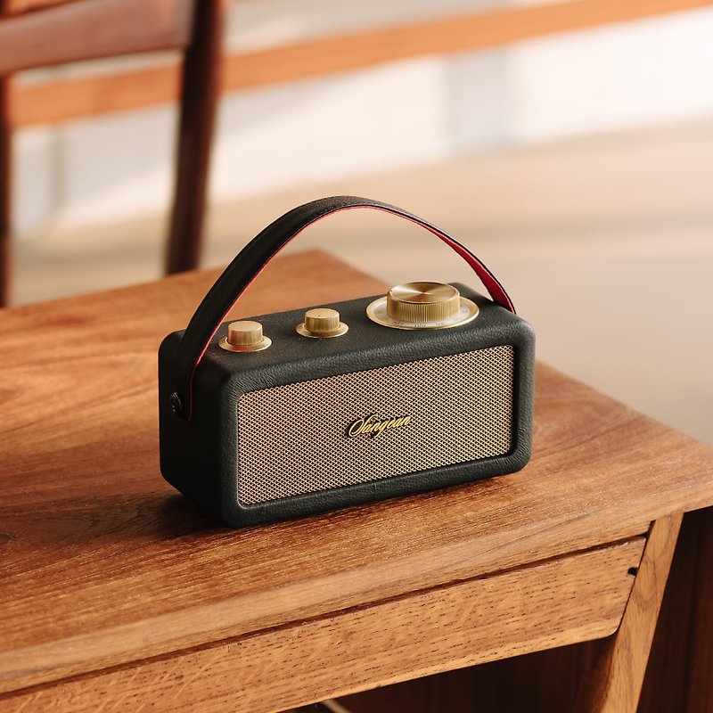 RA-101 FM/Bluetooth Speaker (FM/Bluetooth) - Speakers - Other Materials Black