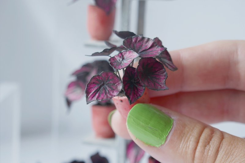 1:12 miniature plants | Begonia Gothic