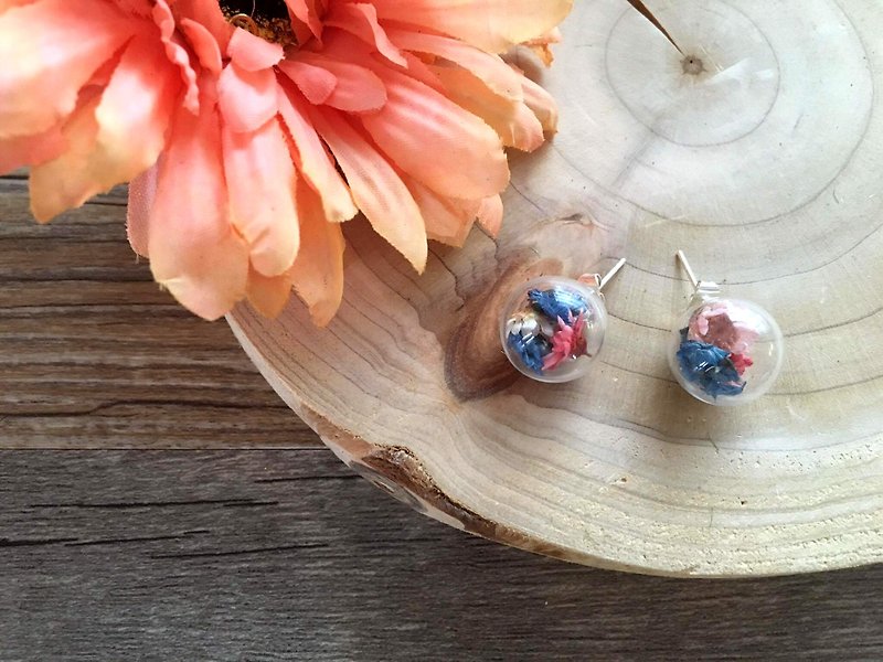 Dry flower glass ball medical gold earrings ear clip [blue powder small daisy embellishment white] - ต่างหู - แก้ว สีใส