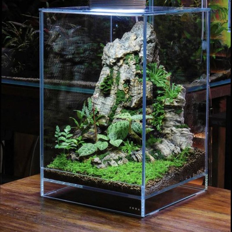 Customized landscaping ecological tank / ultra-white suspended tank / quiet mountain realm - ตกแต่งต้นไม้ - หิน 