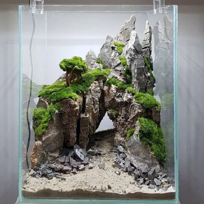 新品上市 空山之靜 / 客製化造景生態盆微景觀 - 植栽/盆栽 - 石頭 