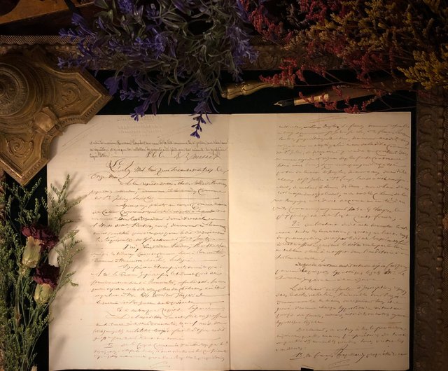 34_外国 切手 便箋カバー フランス 1865年 ナポレオン切手