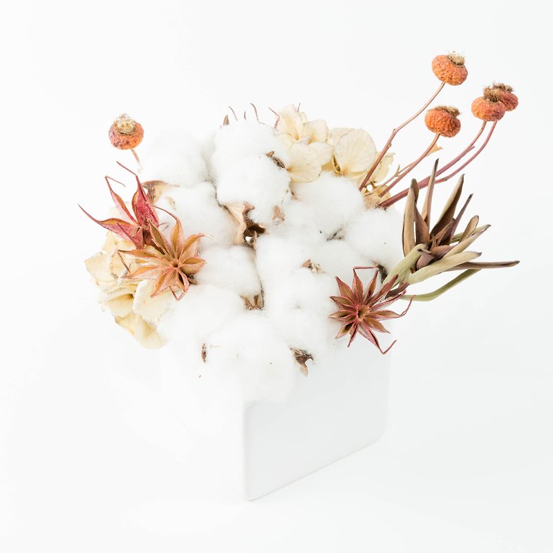 近畿小さな手作りのドライフラワーの秋：秋の綿の綿甘い小さなポットミニポットリミット結婚小さな鉢植えのアマランス治癒 - 観葉植物 - 寄せ植え・花 ホワイト