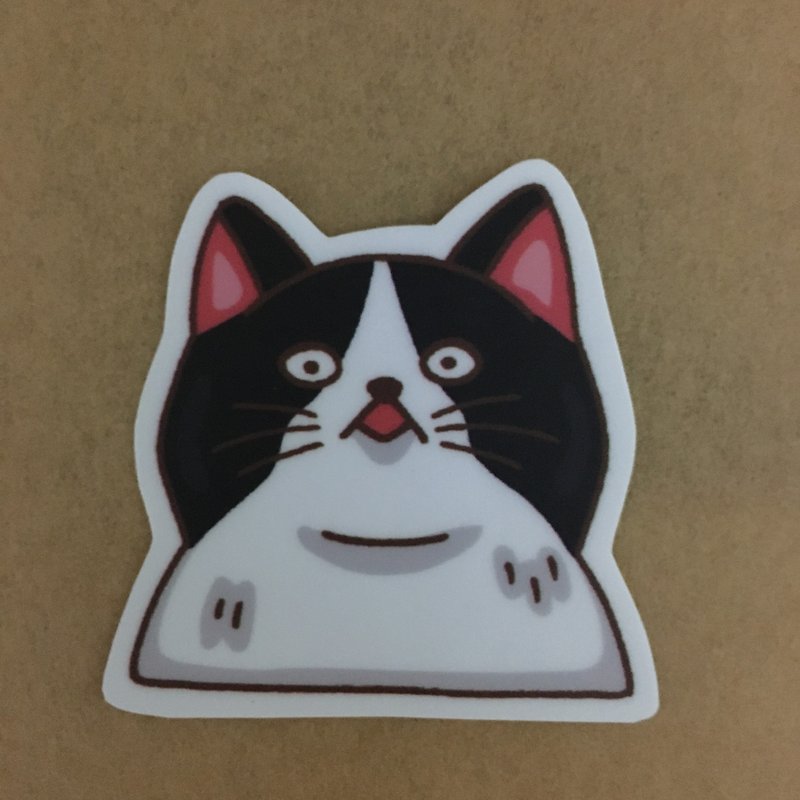 Cat daily shocked small waterproof sticker SS0071 - Stickers - Waterproof Material Black