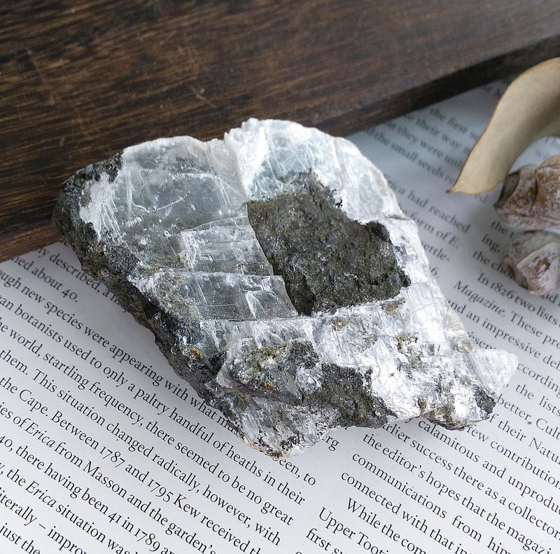 Selenite 贊比亞產地 透石膏 天然礦石 原礦 - 擺飾/家飾品 - 其他材質 