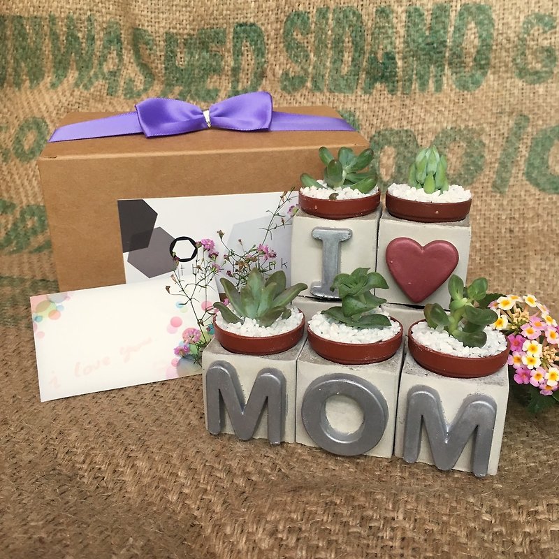 I LOVE MOM ~ !! I love my mother ~ Mother's Day Multi-meat magnet potting set - Plants - Cement Pink