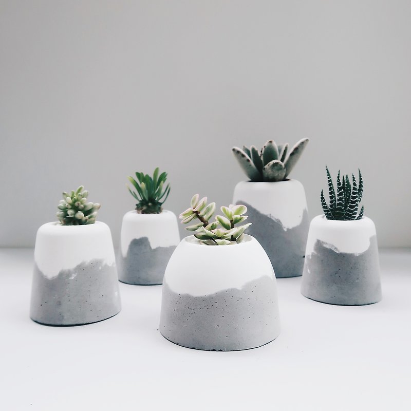 HILL ISLAND 小岛山 | Succulent/cactus snow landscape Cement potted plants (including plants) - ตกแต่งต้นไม้ - ปูน ขาว