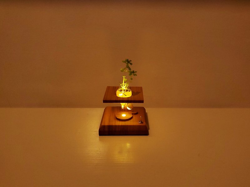 月光植物燈 / Missing link - 燈具/燈飾 - 木頭 綠色
