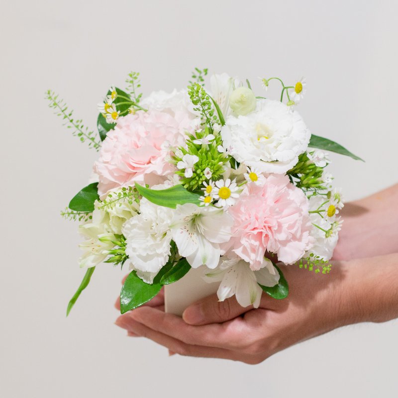 Soft white cloud pink table flower - ตกแต่งต้นไม้ - พืช/ดอกไม้ สึชมพู