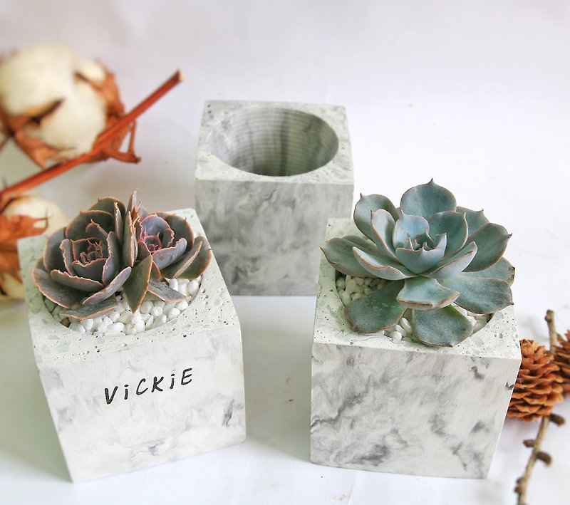Christmas Gift Mandatory Marble Square Cement Pot Planter Customizable English Name - Plants - Cement Gray