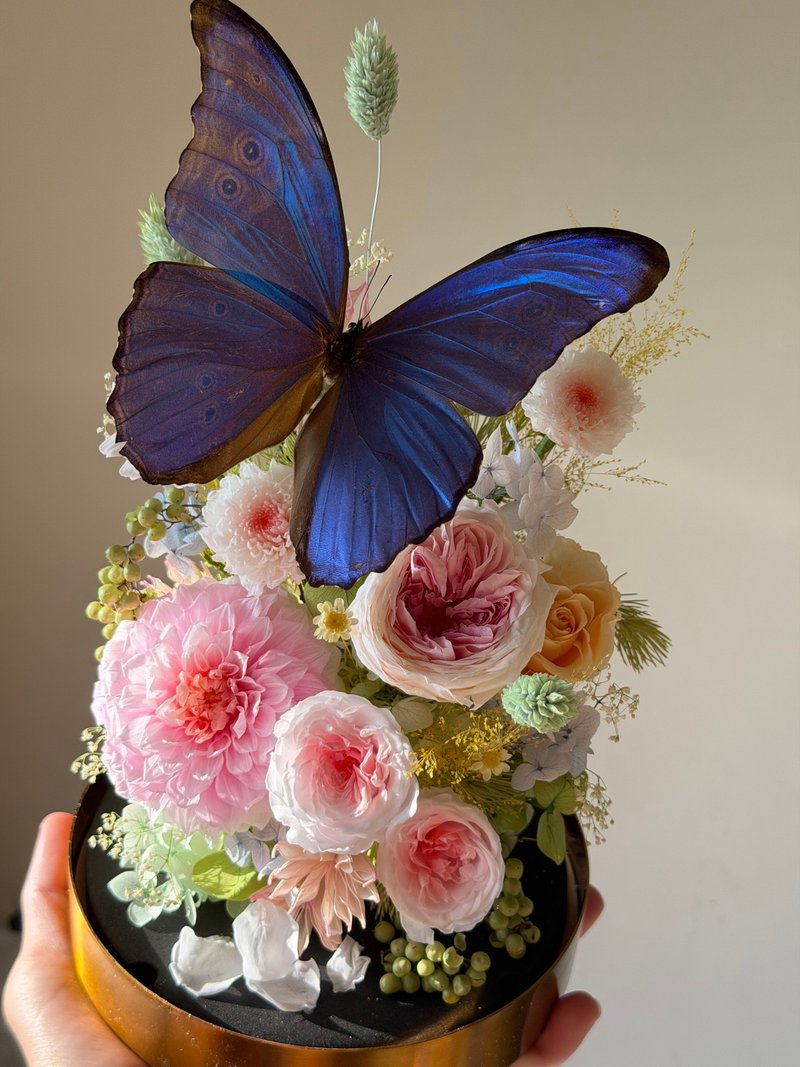 Morpho Menelaus Preserved Flower Dome | Grand Opening | Valentine's Day | Housewarming | Anniversary | Retirement | - ช่อดอกไม้แห้ง - พืช/ดอกไม้ สึชมพู