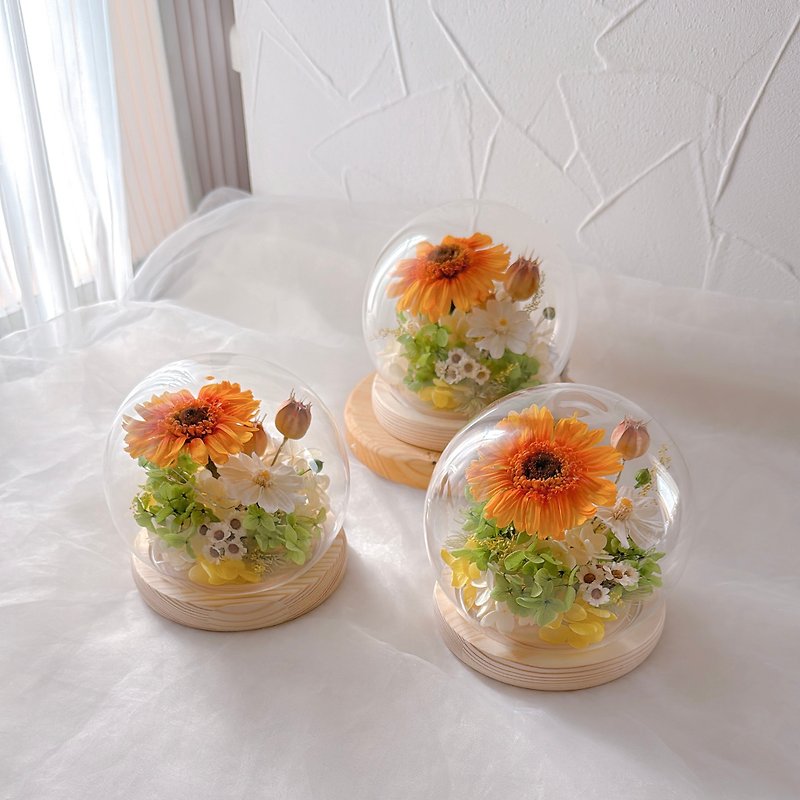 Huafang/Graduation Flower Gift/Eternal Sunflower/Sunflower Glass Cup/Flower Cup - ช่อดอกไม้แห้ง - พืช/ดอกไม้ 