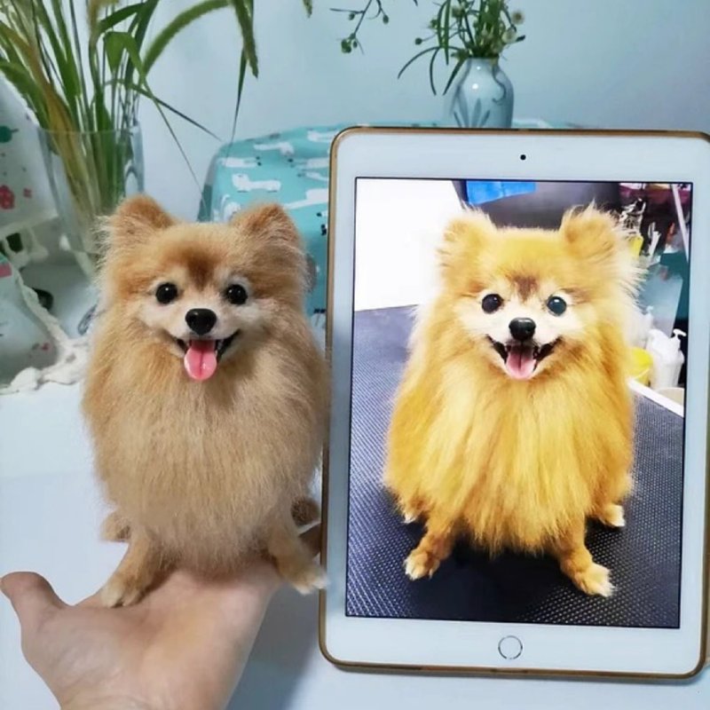 客製化逼真博美犬羊毛氈寵物娃娃定製複刻狗狗猫咪毛小孩公仔 - 貓/狗玩具 - 羊毛 多色