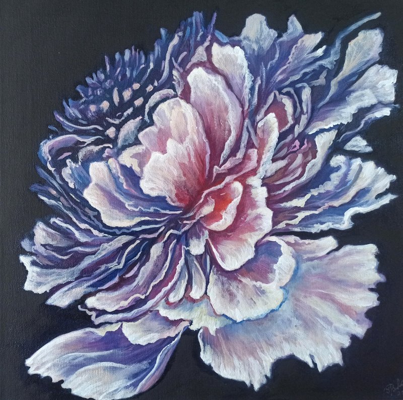 White Peony Painting Original Art Flower Oil Painting on Canvas Floral Artwork - 海報/掛畫/掛布 - 其他材質 白色