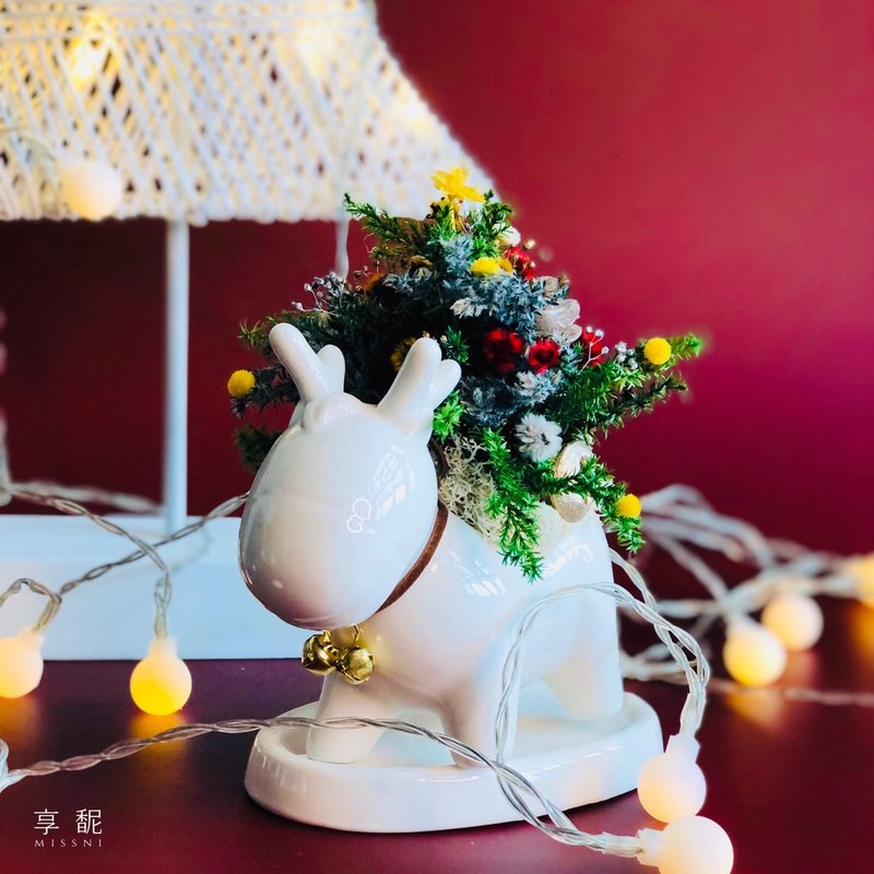 【DIY材料包】聖誕麋鹿 / 聖誕樹 / 交換禮物 - 花藝/盆栽/植栽 - 植物．花 