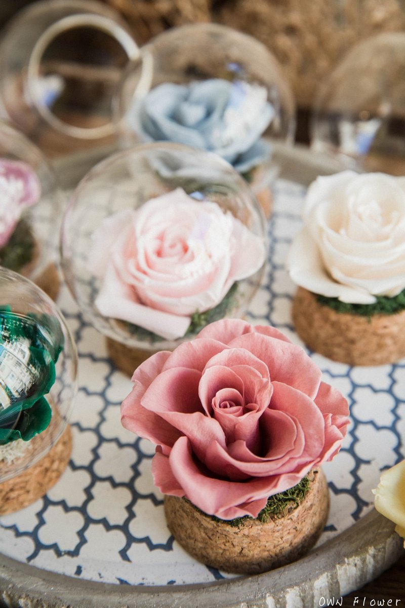 Preserved flower glass ball/glass flower ball/preserved flower cup/everlasting flower cup/preserved flower gift/graduation gift/flower - ช่อดอกไม้แห้ง - พืช/ดอกไม้ สึชมพู