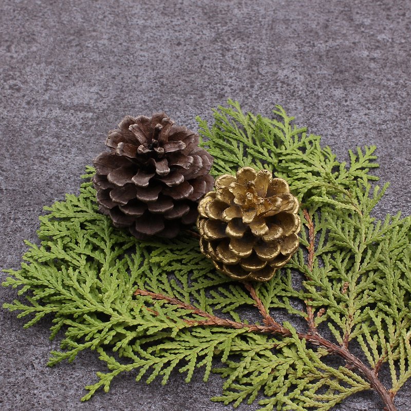 Pinecones decorated with brass natural plants - ของวางตกแต่ง - โลหะ สีทอง