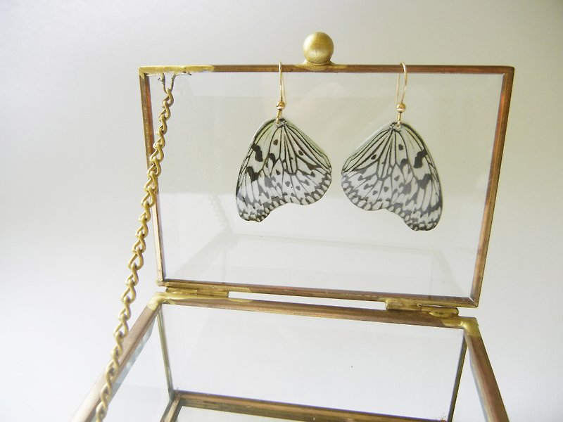 *coucoubird*White butterfly wing earrings/can be modified clip-on - Earrings & Clip-ons - Acrylic Multicolor