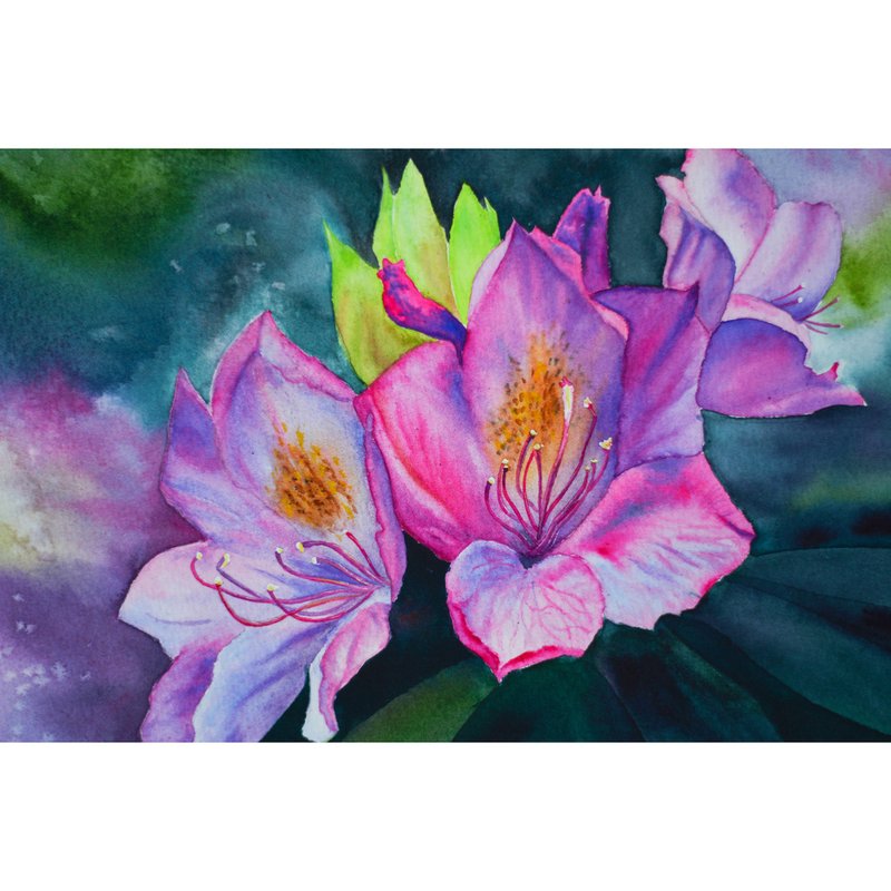 Watercolor Pink Rhododendron Flowers Painting Interior Floral Original Art - 海報/掛畫 - 紙 多色