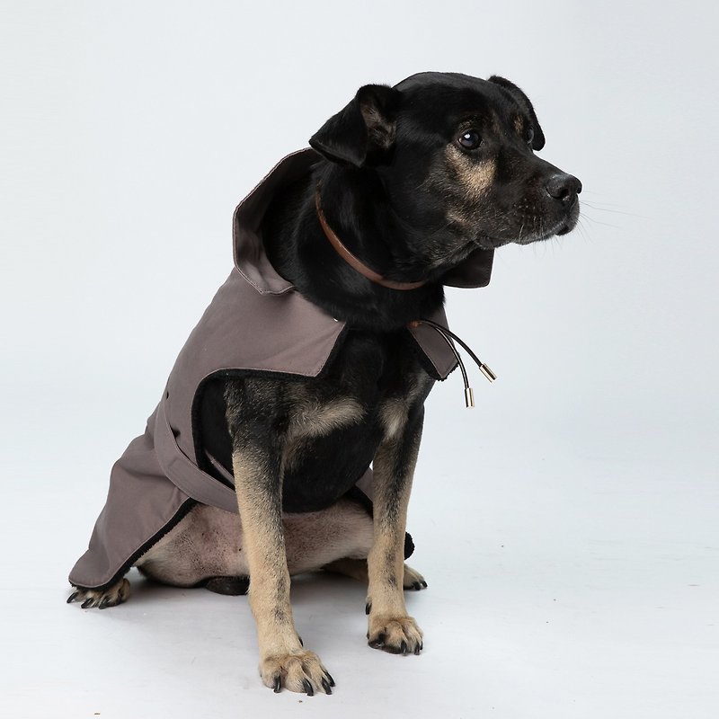 Pawfect-Fit! Jacket With Borg Lining Pet Fur Coat (L) - Clothing & Accessories - Cotton & Hemp Purple