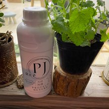 Fragrance private clothing liquid soap vinegar fragrance with unparalleled  cleaning power and light fragrance - Shop pj-ginwangs Other - Pinkoi