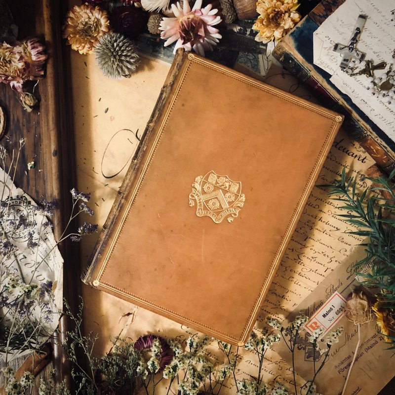 ウィリアムメイクピースサッカレーセンテニアル文学キャサリンフルレザーブック英国で出版 - その他 - 紙 ゴールド