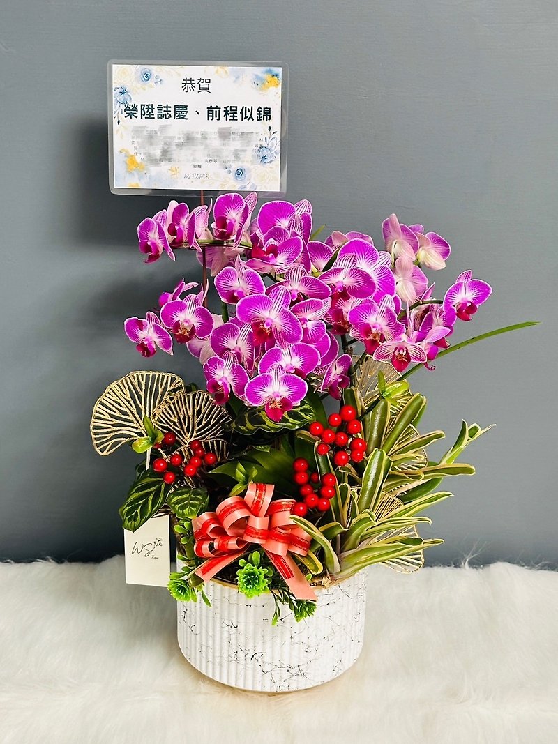 [WS │Flower Bouquet] Promotional potted flowers, opening ceremony, new wedding, can be customized, limited to two north - Plants - Plants & Flowers 