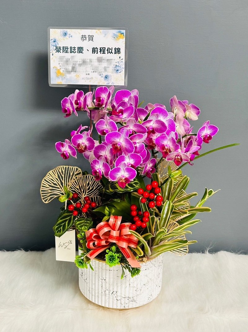 【WS │花束】升遷盆花 開幕花禮 新婚禮 可客製 限雙北 七夕 - 植栽/盆栽 - 植物．花 