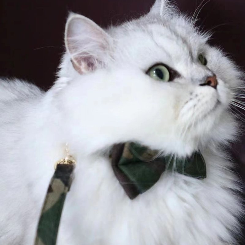 [iC Original] Handmade camouflage, contrasting color bow tie and cat and dog with the same leash - Collars & Leashes - Faux Leather 