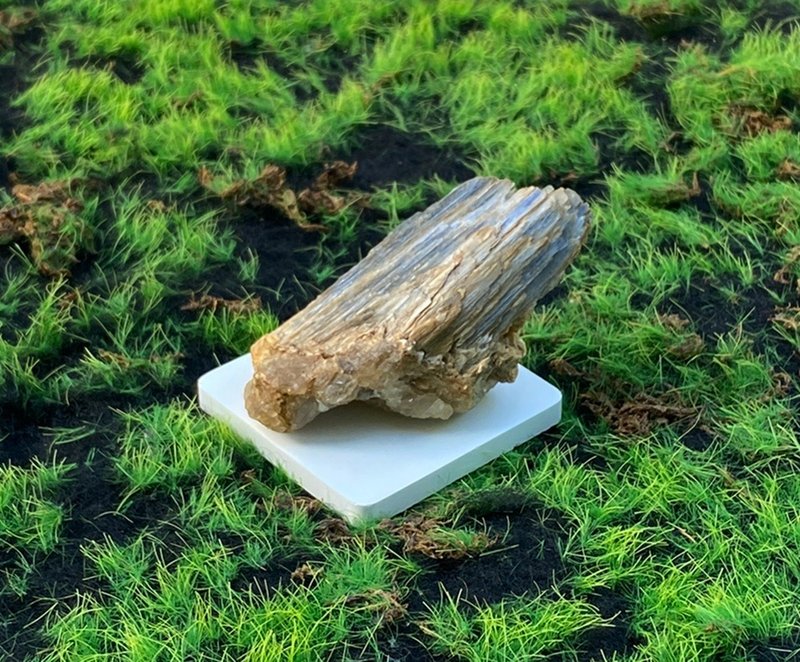 天然原礦藍晶石共生白水晶 快速出貨 提升溝通能力 旺人緣 - 擺飾/家飾品 - 水晶 多色
