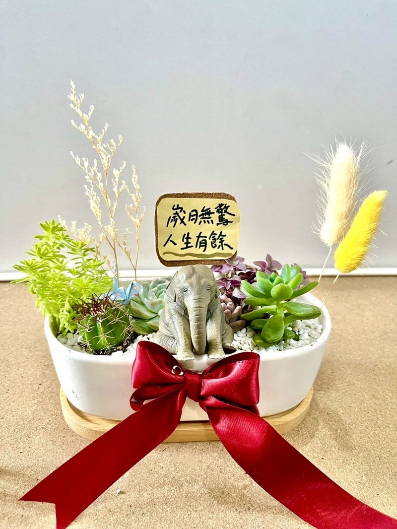 多肉組盆 多肉植物 日式枯山水 大象 滿月送禮 成長的意象 祝福禮 - 盆栽/植栽 - 植物．花 綠色