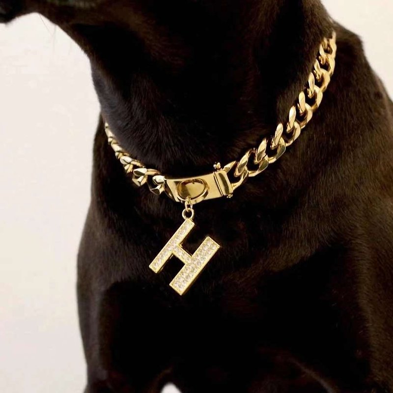 Dog Hip-hop Necklace - Collars & Leashes - Stainless Steel Gold