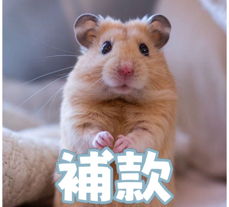 補款專用連結 - 項鍊 - 其他材質 