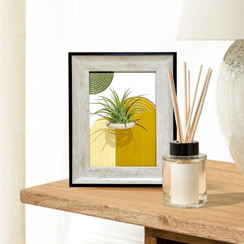 【角落小森林】空氣鳳梨肌理畫手作工作坊 - 植栽/花藝 - 植物．花 