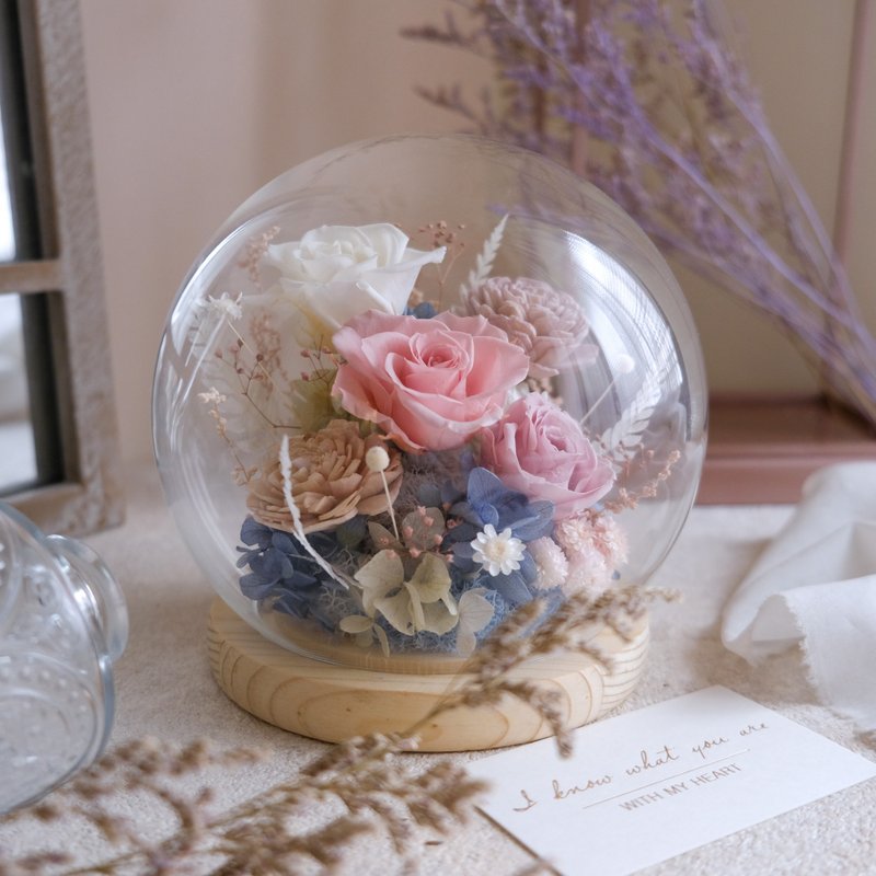 *full of love*Tanabata Valentine's Day/Blue Pink/Glass Bell Jar (No Light)/Confession/Wedding Anniversary - Dried Flowers & Bouquets - Plants & Flowers Pink