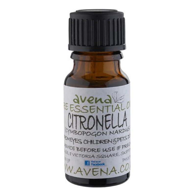 AVENA Citronella Essential Oil - Fragrances - Essential Oils Blue