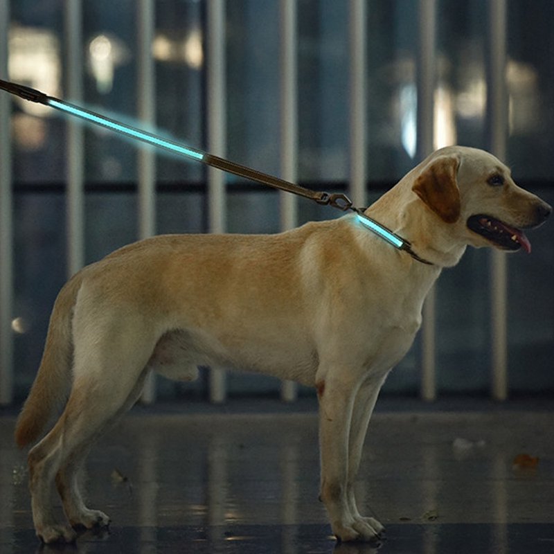 【DOGNESS多尼斯】LED彩光系列寵物牽引繩(4色) - 項圈/牽繩 - 其他材質 多色