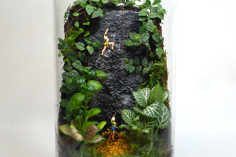 [Micro Landscape] Moss Field Trial - Moss Pot Set/Exchange of Gifts/Rock Climbing/Ecological Bottle - Plants - Glass Green