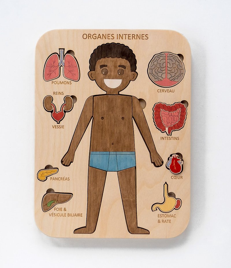 Human body Wooden Internal organs human Montessori Anatomy game science play