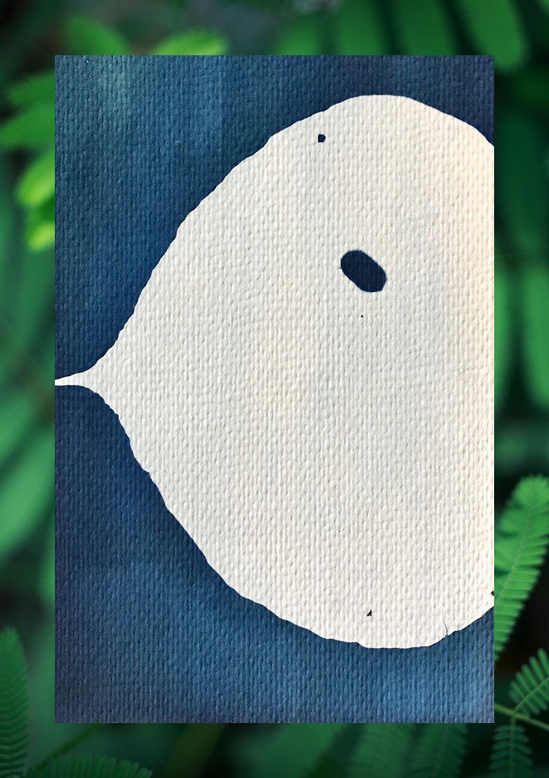 Handmade Cyanotype Cards - การ์ด/โปสการ์ด - กระดาษ 