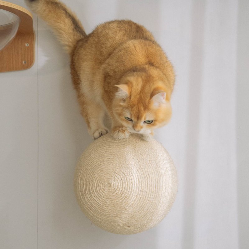 Caturn N25 - Scratchers & Cat Furniture - Other Materials Multicolor