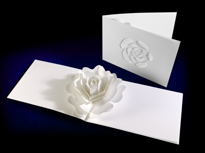 Flower lover pop-up greeting card <Camellia> for birthday, wedding, Mother's Day, anniversary - Cards & Postcards - Paper 