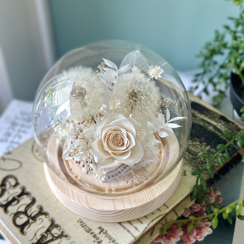 Pure dandelion glass cover, immortal flower glass cover, immortal flower, customized gift - ช่อดอกไม้แห้ง - พืช/ดอกไม้ 