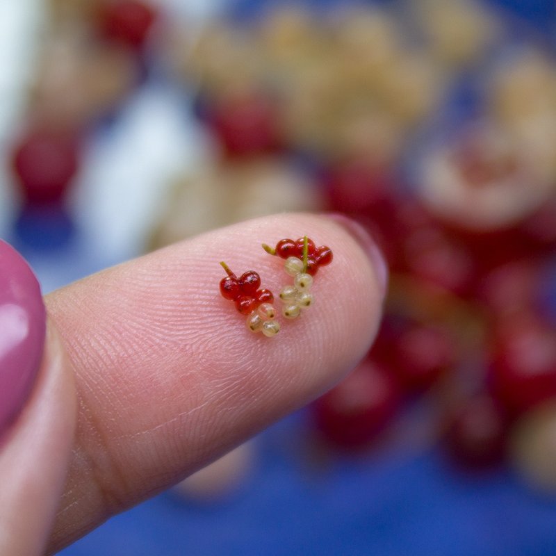 TUTORIAL Miniature red currants with polymer clay | PDF + video - 手工藝教學/工具書 - 其他材質 