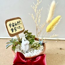 多肉植物◆サボテン◆トトロ 鉢 植木鉢 ポリ製 多肉植物 新品未開封品 かざりもの寄せ植え かわいい