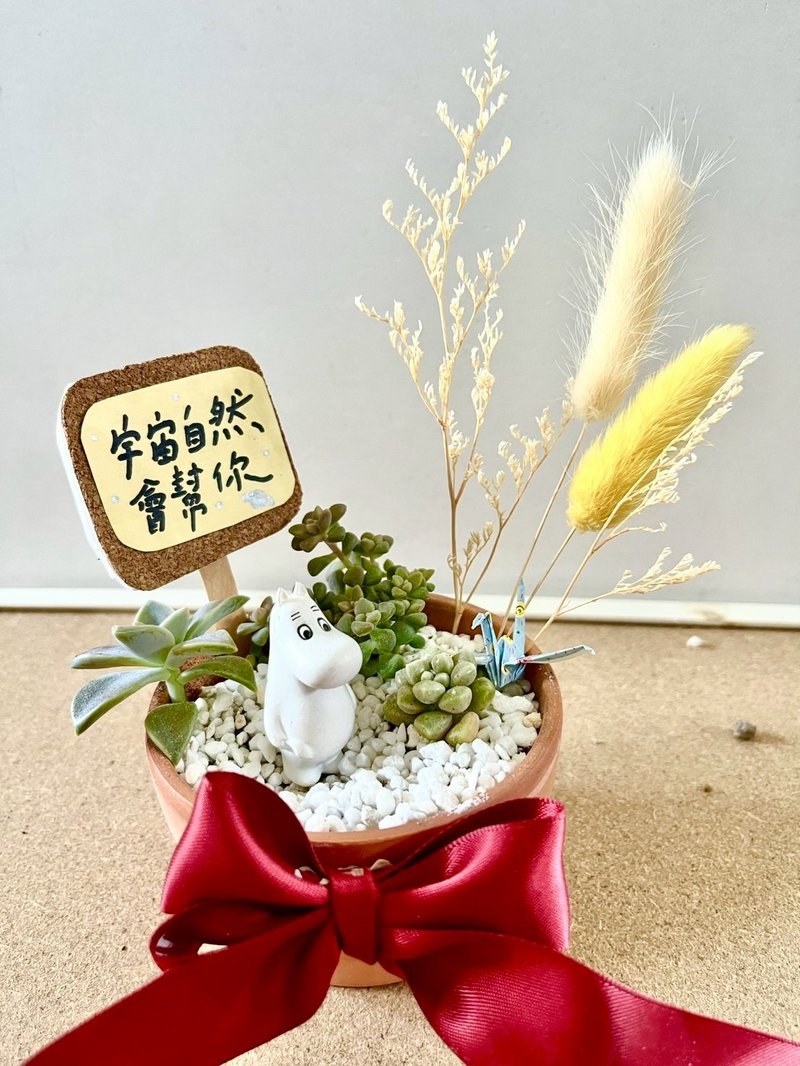 多肉組盆 多肉植物 日式枯山水 微景觀系列 Moomin 姆明 嚕嚕米 - 盆栽/植栽 - 植物．花 綠色