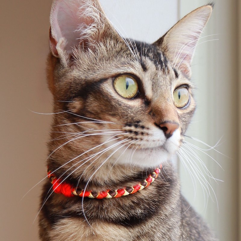 【COLLAR】Soleil  Japanese kumihimo collar with safety magnet - Collars & Leashes - Other Materials 