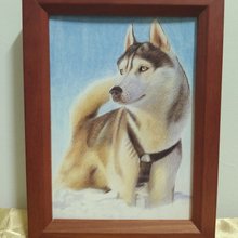 装飾/犬/色鉛筆画/オリジナル/額装 - ショップ Lin