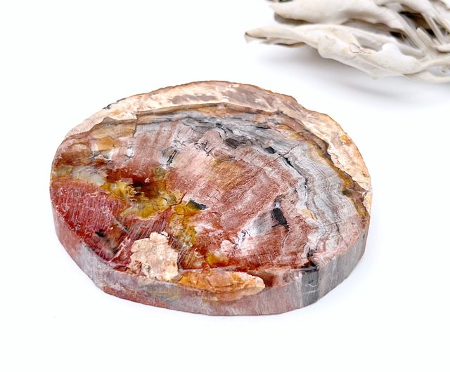 為念。原礦擺件療癒有天然礦坑l 木化石木化玉樹化玉l A:Triangle｜擺飾