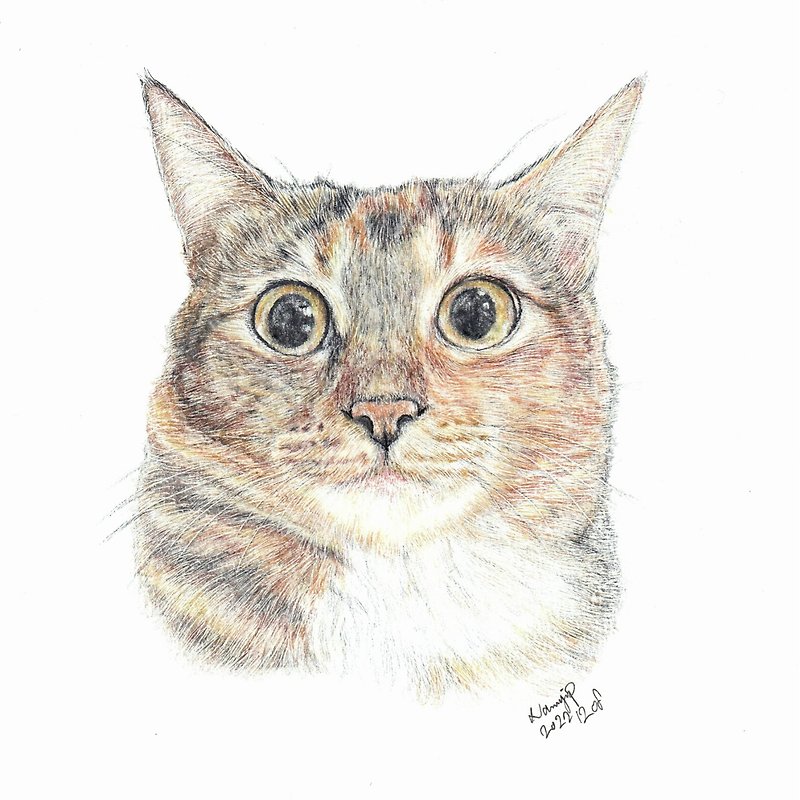 【客製】寵物手繪 | 唐貓 | 三色貓 | 似顏繪 | 畫 | 貓 - 海報/掛畫/掛布 - 紙 